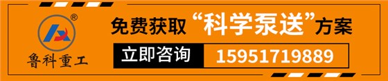 二次結構泵30型