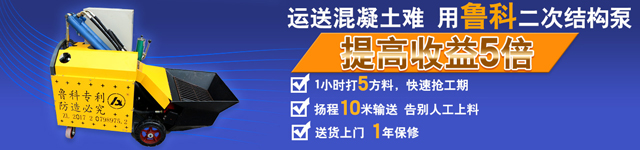 二次構(gòu)造柱專用細石泵